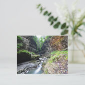 Watkins Glen Staat Park, New York Postkarte (Stehend Vorderseite)