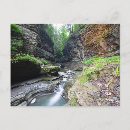 Watkins Glen Staat Park, New York Postkarte (Vorderseite)