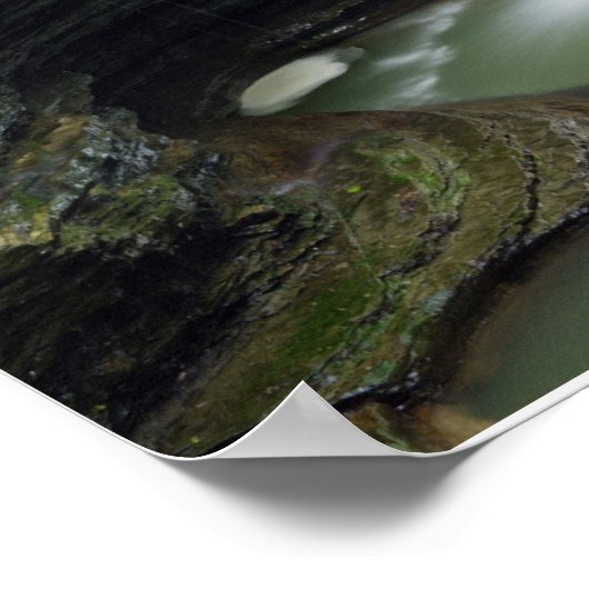 Watkins Glen Waterfall Print Poster (Ecke)