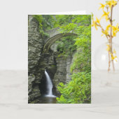 Watkins Schlucht-Gruß-Karte Karte (Gelbe Blume)