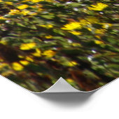 Watsonville Fields von Van Gogh II Poster (Ecke)