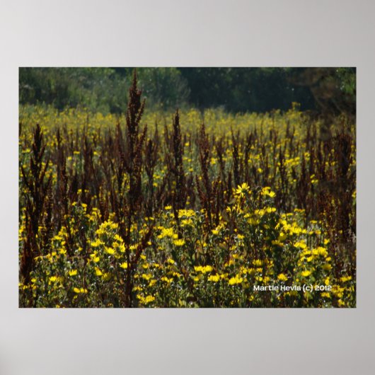 Watsonville Fields von Van Gogh II Poster (Vorne)