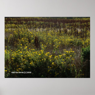Watsonville Fields von Van Gogh Poster