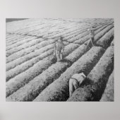 Watsonville Migrant Mexican Workers Poster (Vorne)