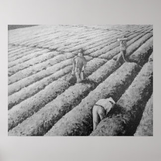 Watsonville Migrant Mexican Workers Poster