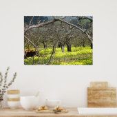 Watsonville Orchard Poster (Küche)