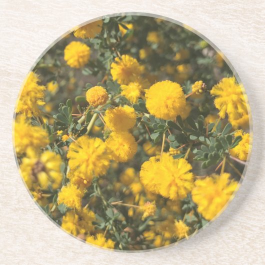 Wattle Getränkeuntersetzer (Vorne)