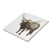 Watusi Cow Fliese (Seite)