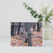 Wausau Wisconsin Deer Postkarte (Stehend Vorderseite)