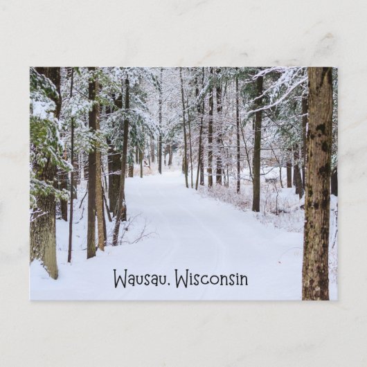 Wausau Wisconsin im Winter Postkarte (Vorderseite)