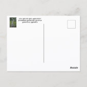 Wave Girl Monument Savannah GA Fotografisch Postkarte (Rückseite)