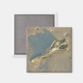 Wave Washed Muschel Cape Cod Items Magnet (Vorderseite/Rückseite)