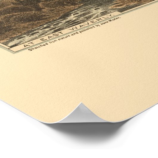 Waverly, NY Panoramic Map - 1881 Poster (Ecke)