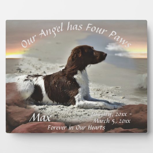 Waves and Boulders Pet Memorial 0893 Fotoplatte (Vorderseite)