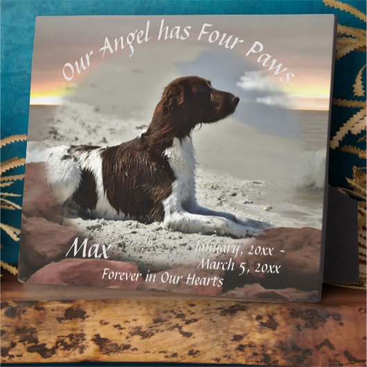 Waves and Boulders Pet Memorial 0893 Fotoplatte