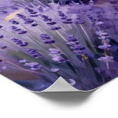 Waves of Violet: An Impressionist Study of Sun Poster (Ecke)