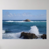 Waves Poster (Vorne)