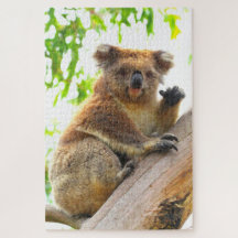 WAVING KOALA 20x30 INCH
