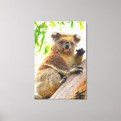 WAVING KOALA 32x48 Leinwanddruck (Vorderseite)
