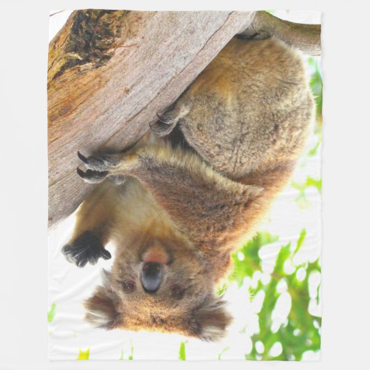 WAVING KOALA FLEECEDECKE (Vorderseite)