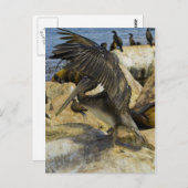 Waving Pelican Postcard Postkarte (Vorne/Hinten)