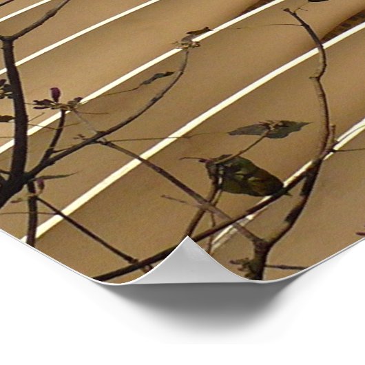 Wavy-Gebäude Poster (Ecke)