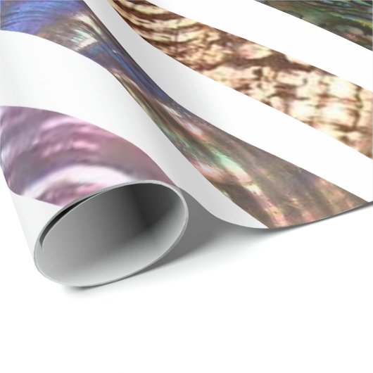 Wavy PAttern Strips der schmalen Muschel Geschenkpapier (Rolleneckpunkt)