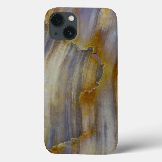Wavy Petrified Wood Case-Mate iPhone Hülle (Rückseite)