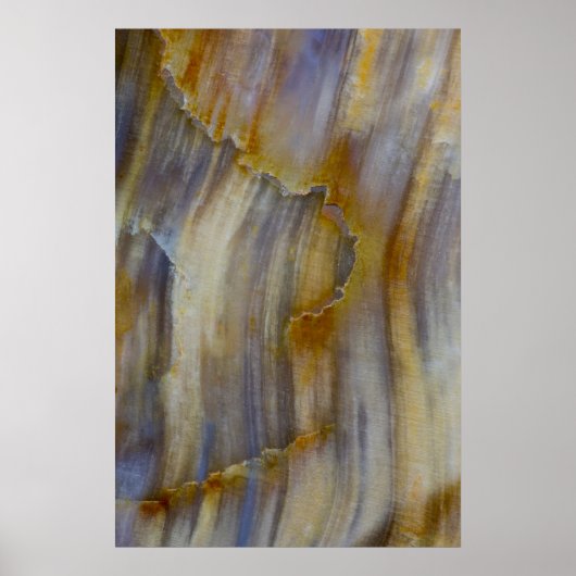 Wavy Petrified Wood Poster (Vorne)