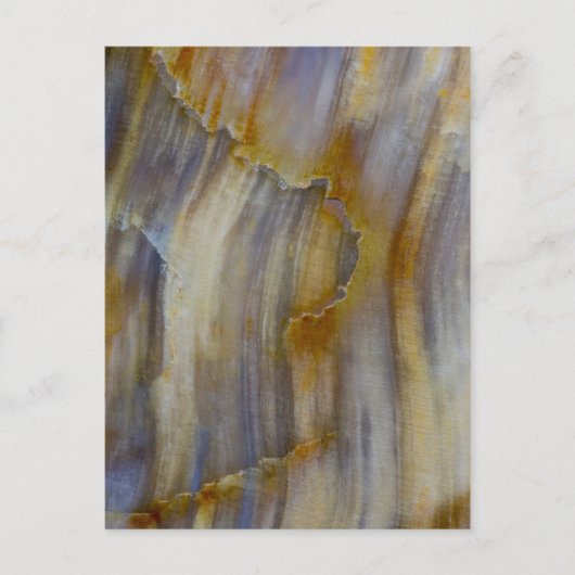 Wavy Petrified Wood Postkarte (Vorderseite)