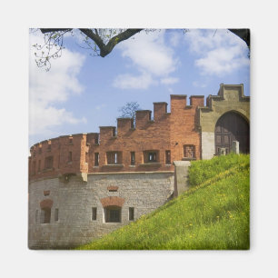Wawel-Schloss, Krakau, Polen Magnet