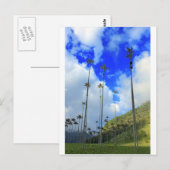 Wax palms Cocora Tal Kolumbien Postkarte (Vorne/Hinten)
