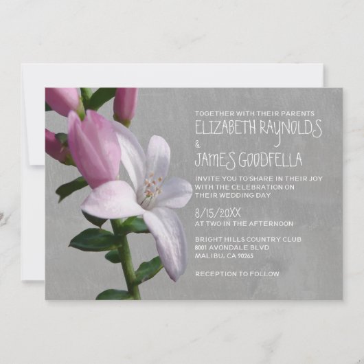 Waxblume Hochzeit Einladungen (Vorderseite)