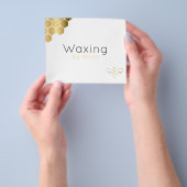 Waxender Ästhetiker Goldene Biene Flyer (Gruppe)