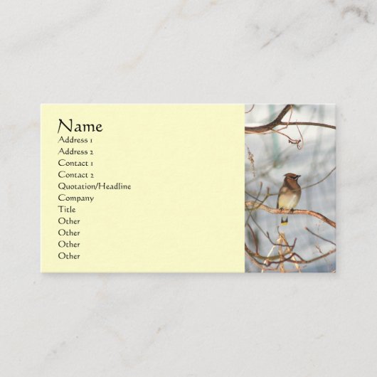 Waxing Bird in Winter Animal Business Card Visitenkarte (Vorderseite)