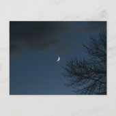 Waxing Crescent Moon in Sagittarius Postkarte (Vorderseite)
