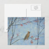Waxwing 2013 Öl auf Leinwand Postkarte (Vorne/Hinten)
