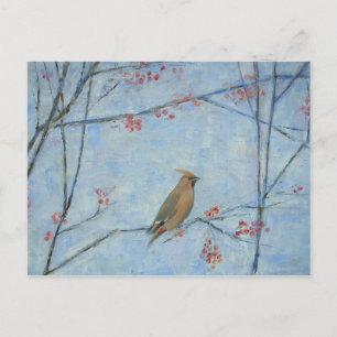 Waxwing 2013 Öl auf Leinwand Postkarte