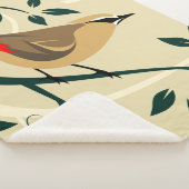 Waxwing Birds Sherpadecke (3/4)