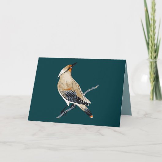 WAXWING BLANK ALL-OCCASION CARD KARTE (Vorderseite)