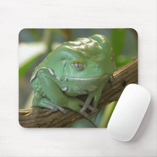 Waxy Tree Frog Mousepad (Mit Mouse)