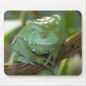 Waxy Tree Frog Mousepad (Vorne)
