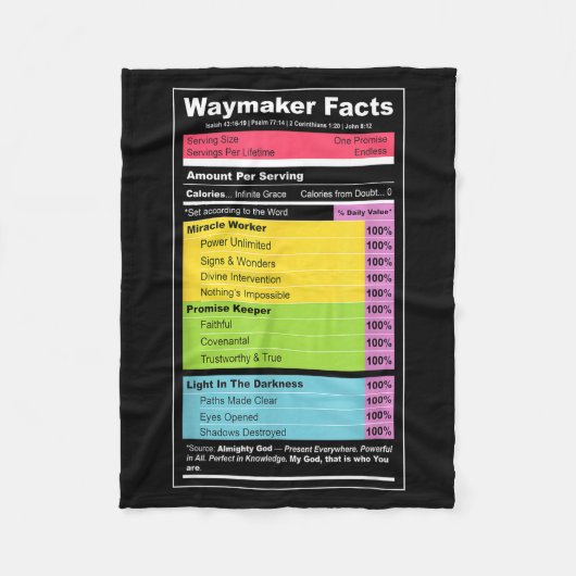 Waymaker Facts Christian Tee _ Faith Nutrition Lab Fleecedecke (Vorderseite)