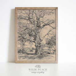 Wayside Inn Oaks im Frühjahr Vintage Eiche Poster
