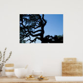 Wayward Oak Poster (Küche)