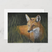 Wayward Red Fox Animal Art Postcard Postkarte (Vorne/Hinten)