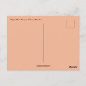 Wazir Khan Mosque Lahore Pakistan Postcard Postkarte (Rückseite)