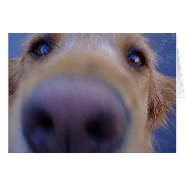 Wazzup? (Vorderseite (Horizontal))