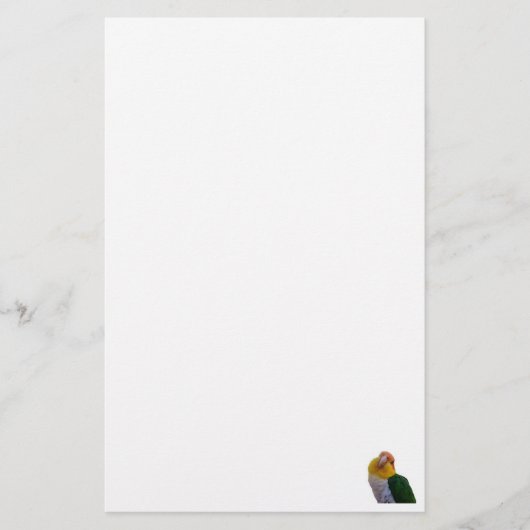 WBCaique stationär Briefpapier (Vorderseite)