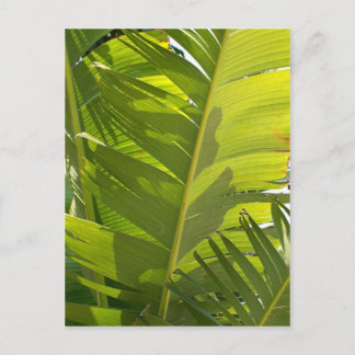WC Banana-Blätter Postkarte